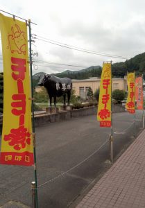 nobori003